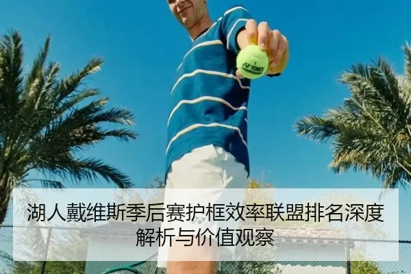 湖人戴维斯季后赛护框效率联盟排名深度解析与价值观察