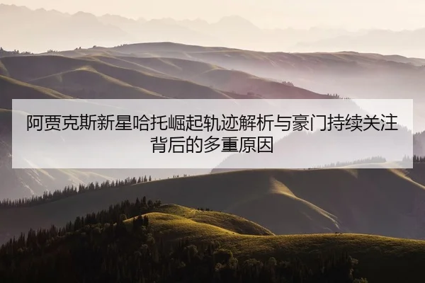 阿贾克斯新星哈托崛起轨迹解析与豪门持续关注背后的多重原因
