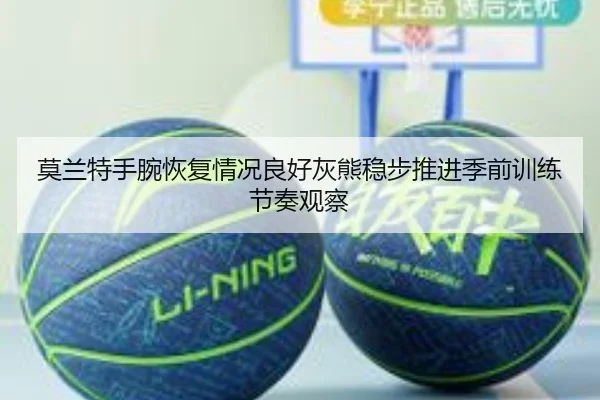 莫兰特手腕恢复情况良好灰熊稳步推进季前训练节奏观察