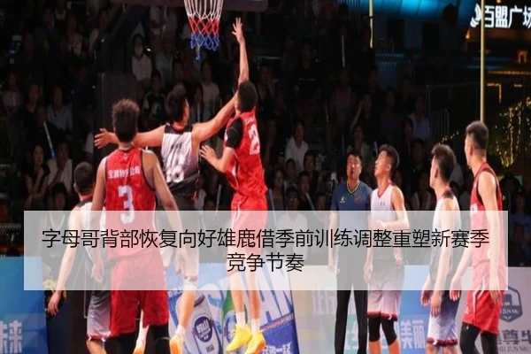 字母哥背部恢复向好雄鹿借季前训练调整重塑新赛季竞争节奏